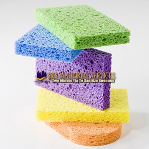 Two Minute Tip To Sanitize Sponges